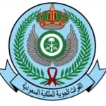 القوات-الجوية